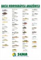 /album/galeria-de-fotos/banner-peixe1amazo-jpg1/